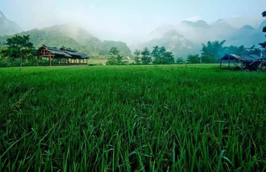 壩美·歸園，隱居聽心歸于自然盡享鄉(xiāng)村野趣