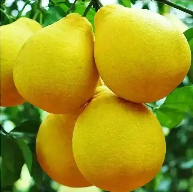 云澗阡陌·野望，特色度假小鎮(zhèn)體驗親子主題民宿