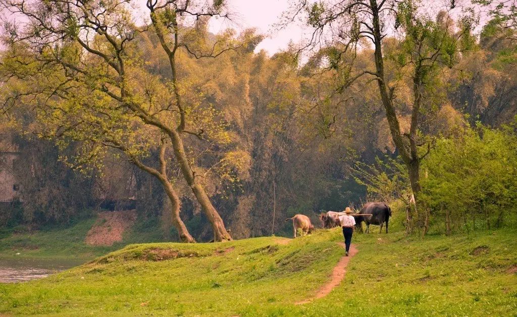 云澗阡陌·野望，特色度假小鎮(zhèn)體驗親子主題民宿