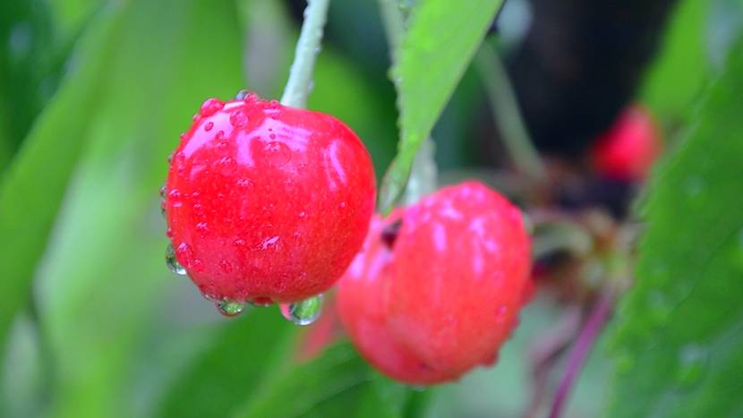 煙臺·極客客棧，歡迎每一顆想要逃離的心