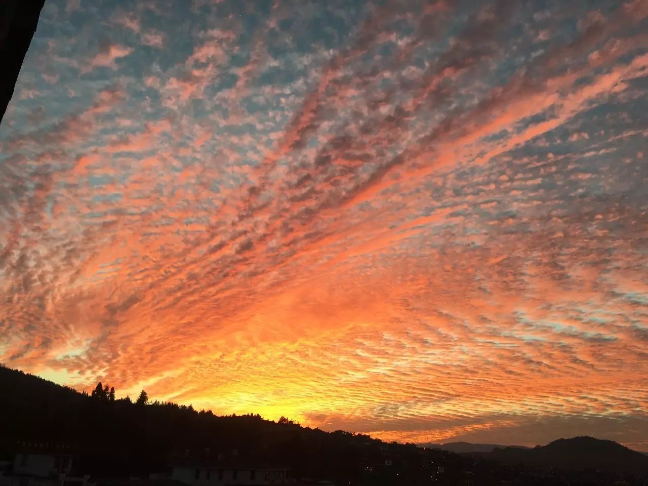 安之若宿，像家一樣既來之則安之