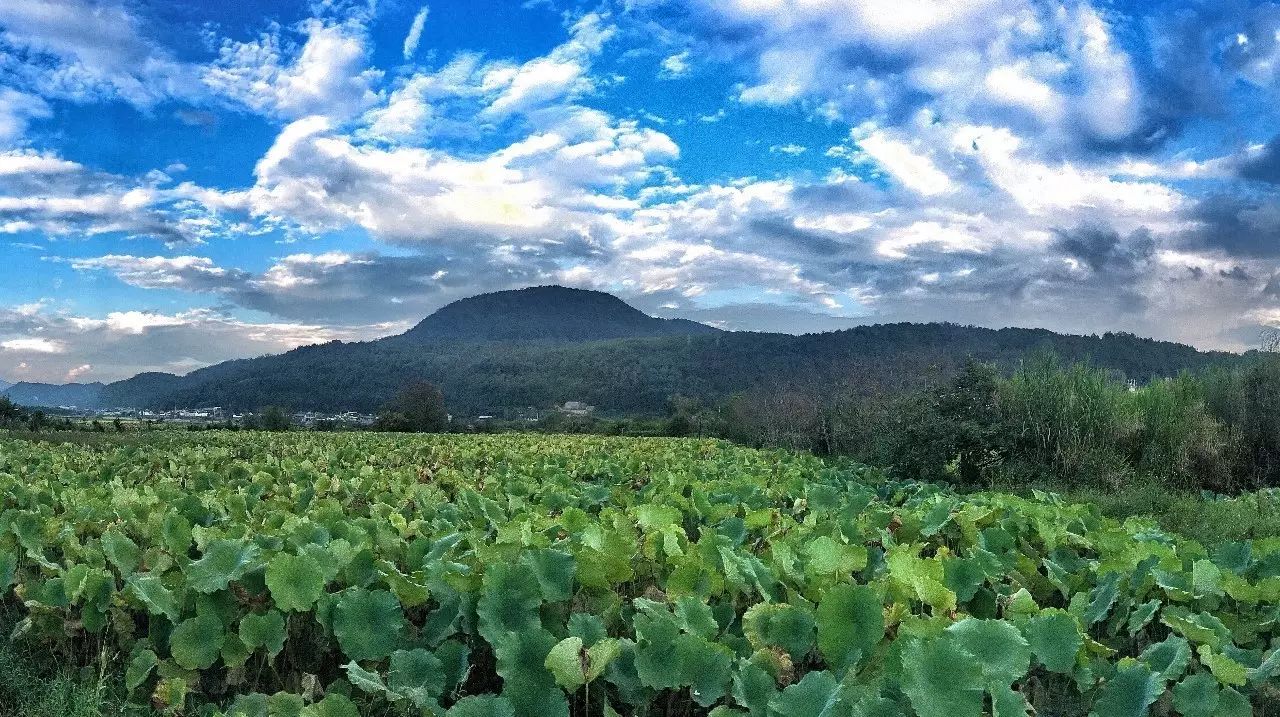 安之若宿，像家一樣既來之則安之