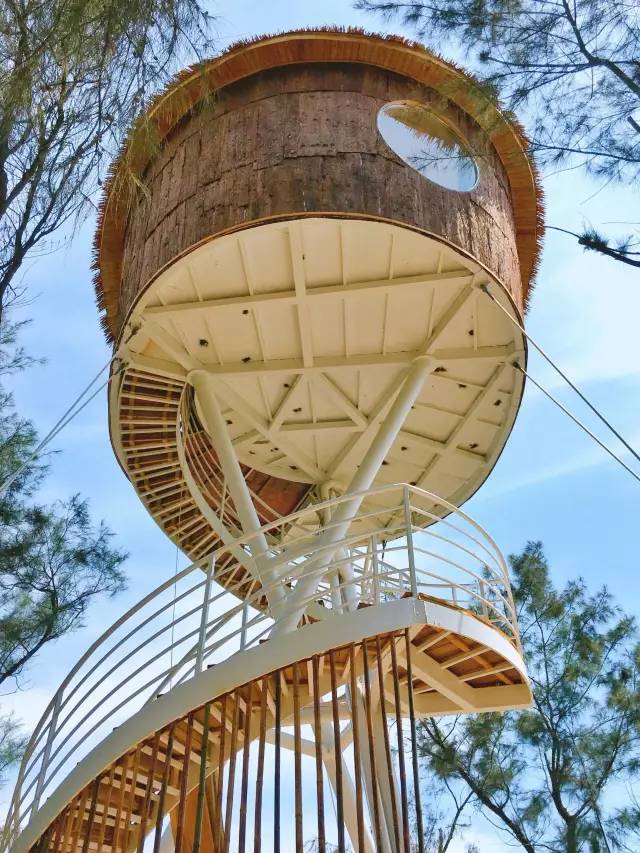 翡翠灣，在遼闊的海洋前做回?zé)o憂快樂(lè)的自我