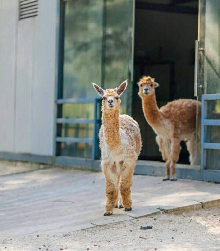 翡翠灣，在遼闊的海洋前做回?zé)o憂快樂(lè)的自我