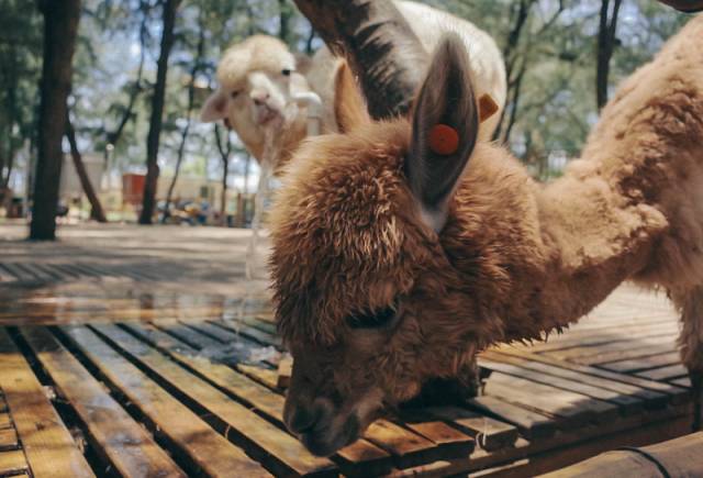 翡翠灣，在遼闊的海洋前做回?zé)o憂快樂的自我