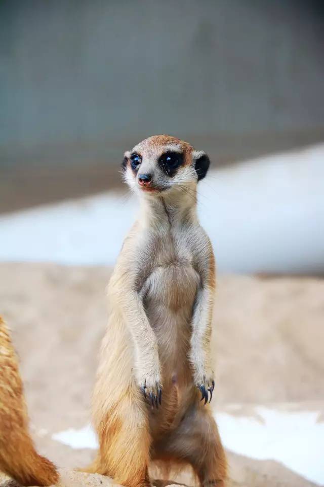 翡翠灣，在遼闊的海洋前做回?zé)o憂快樂的自我