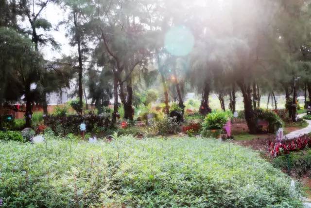 翡翠灣，在遼闊的海洋前做回?zé)o憂快樂的自我