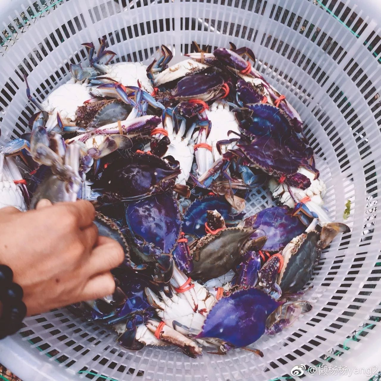 樸宿·微瀾山居，空山鳥語就在身畔