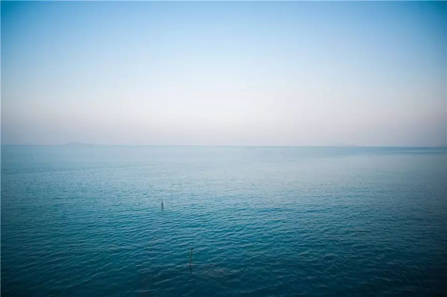 樸宿·微瀾山居，空山鳥語就在身畔