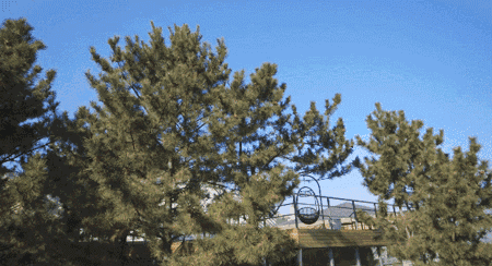 樸宿·微瀾山居，空山鳥語就在身畔