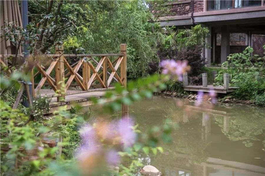 武夷山·山玖如意莊，一杯清茶一萬(wàn)個(gè)品茶人