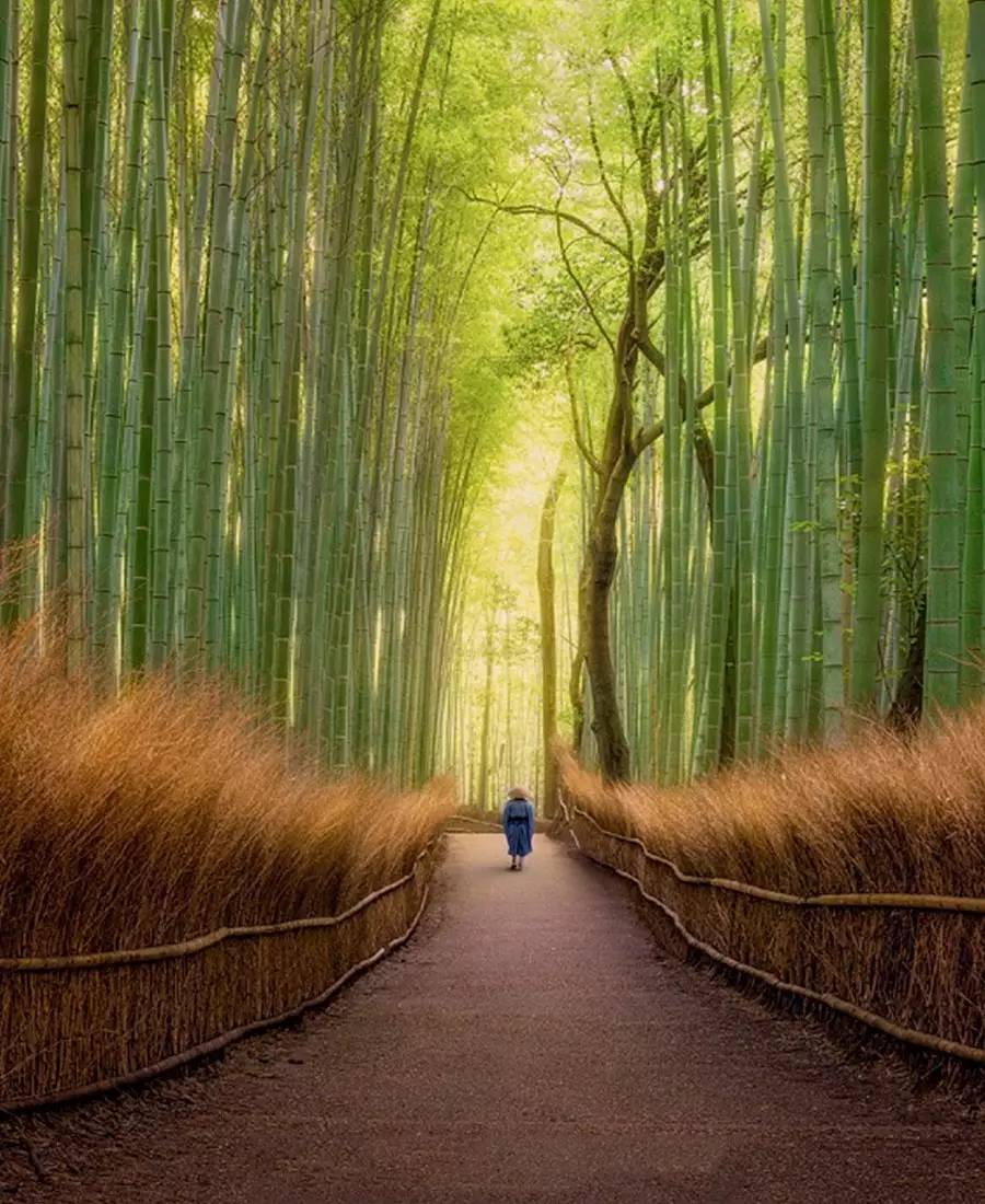 竹制好物，竹編工藝之美！