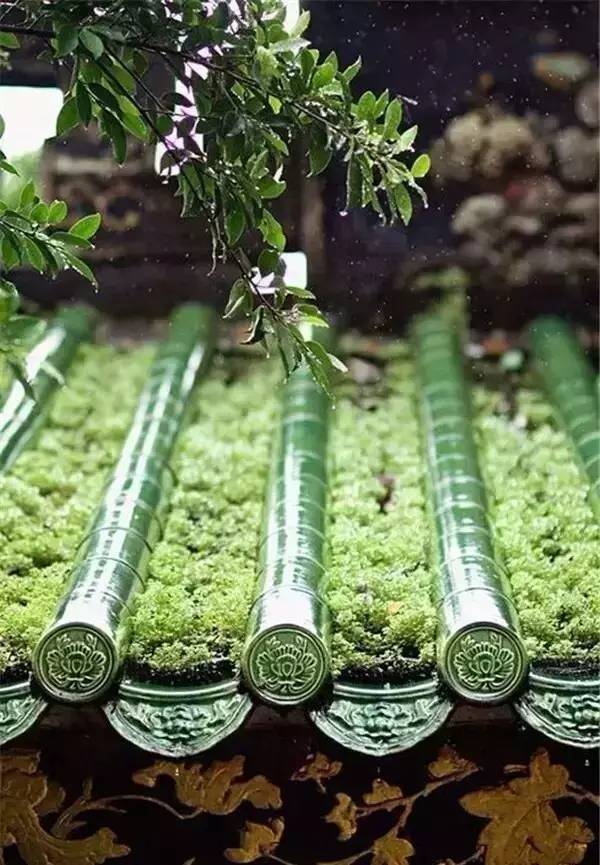 古建筑，一片瓦，遮風(fēng)擋雨