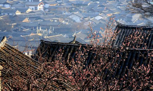 古建筑，一片瓦，遮風(fēng)擋雨
