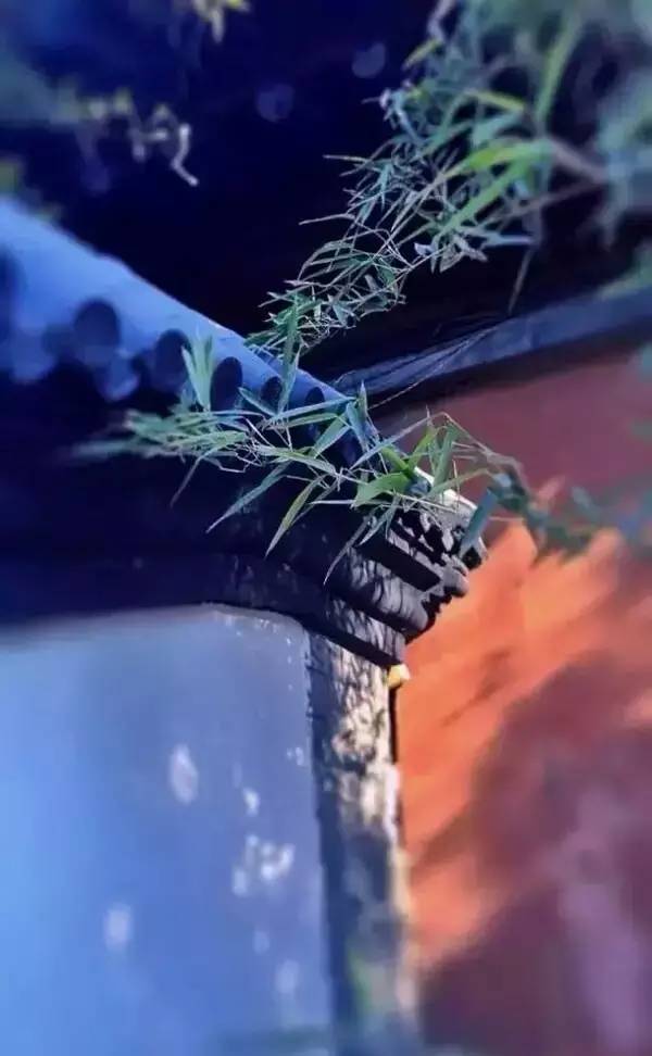 古建筑，一片瓦，遮風(fēng)擋雨