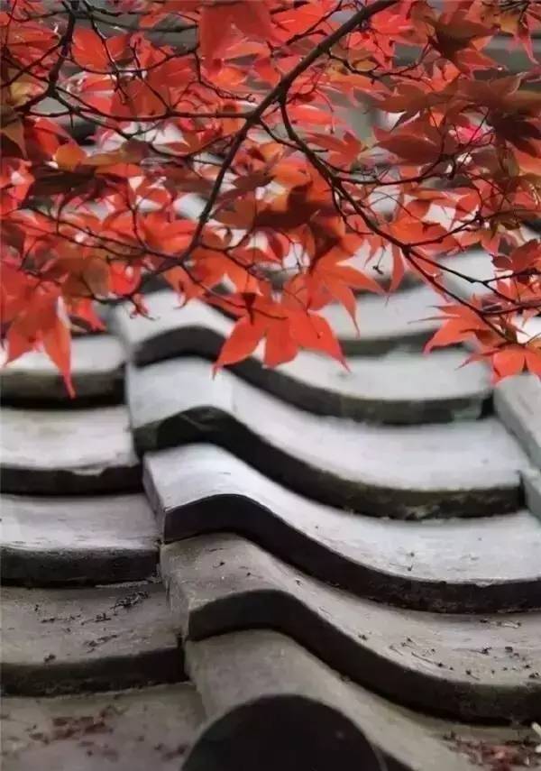 古建筑，一片瓦，遮風擋雨