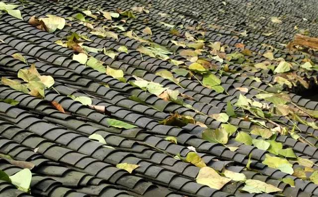 古建筑，一片瓦，遮風擋雨