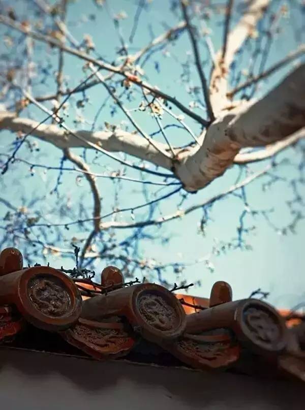 古建筑，一片瓦，遮風擋雨