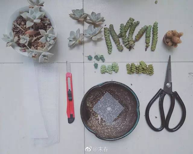 獨(dú)特中國(guó)美，最美插畫(huà)，膚如凝脂珠圓玉潤(rùn)民國(guó)