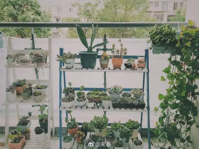 獨特中國美，最美插畫，膚如凝脂珠圓玉潤民國