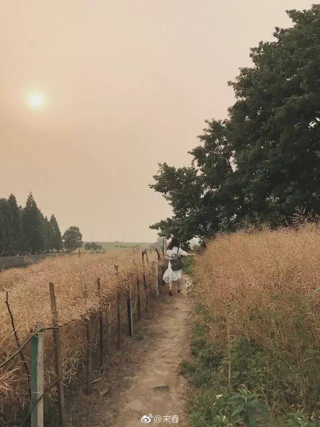 獨特中國美，最美插畫，膚如凝脂珠圓玉潤民國