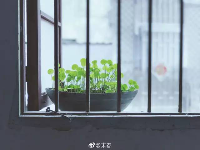 獨特中國美，最美插畫，膚如凝脂珠圓玉潤民國