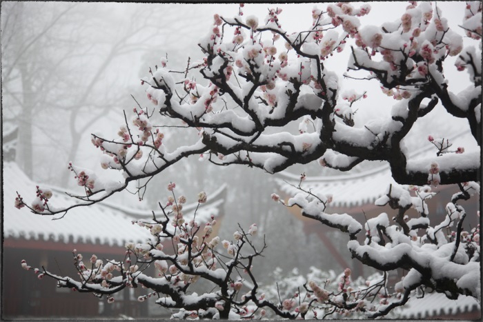 美的刺目的中國古建筑 歷經(jīng)世間滄桑、歲月荏苒