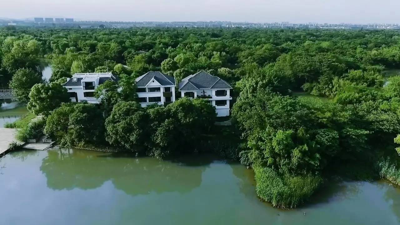 好久不見，西溪濕地范的民宿