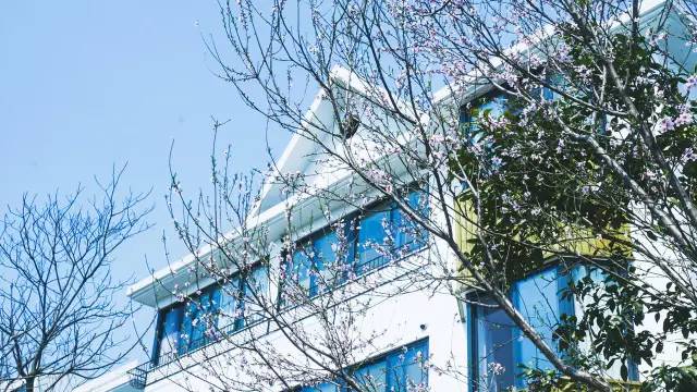 好久不見，西溪濕地范的民宿