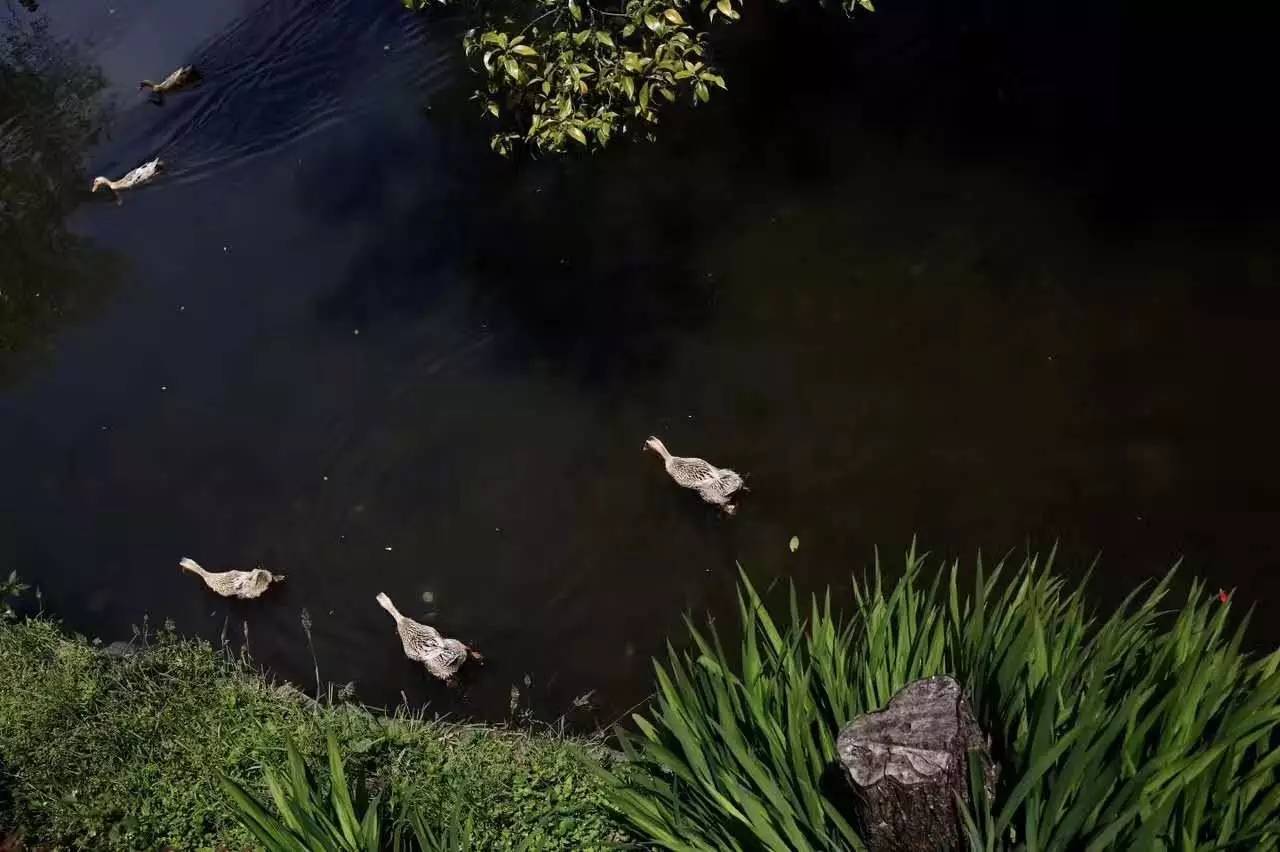 茶馬古道，民宿古宅設(shè)計改造
