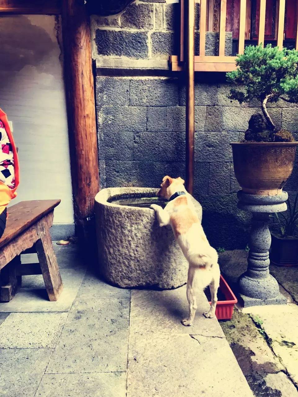 茶馬古道，民宿古宅設(shè)計改造