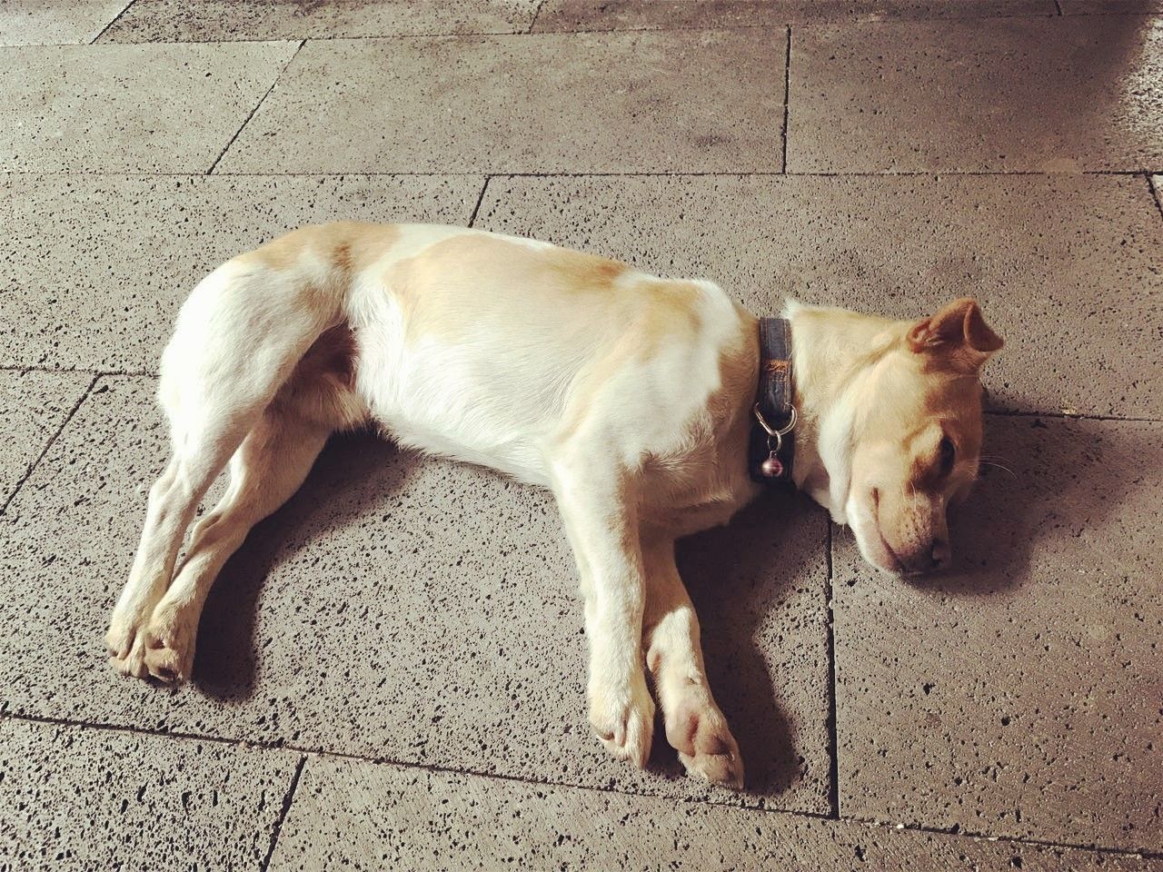 茶馬古道，民宿古宅設(shè)計改造