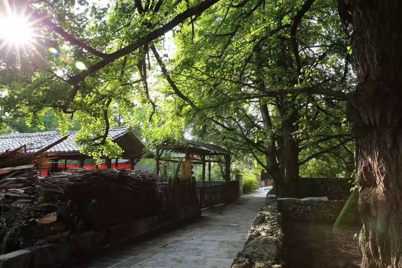 茶馬古道，民宿古宅設(shè)計(jì)改造