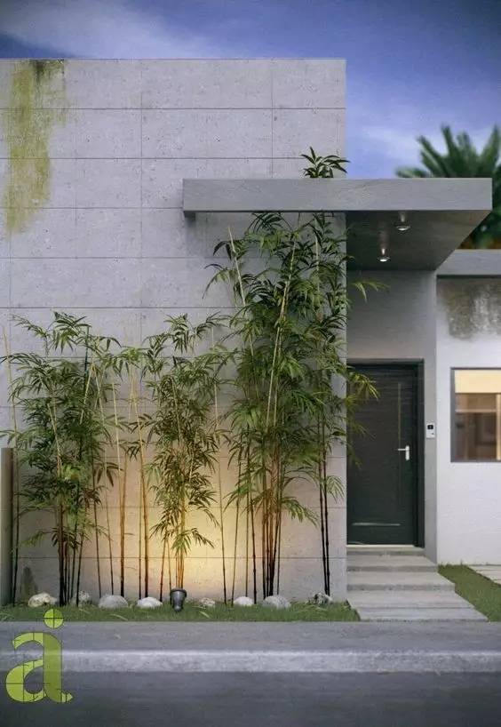 水泥墻樸素寂靜的美，庭院設(shè)計