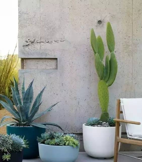 水泥墻樸素寂靜的美，庭院設(shè)計