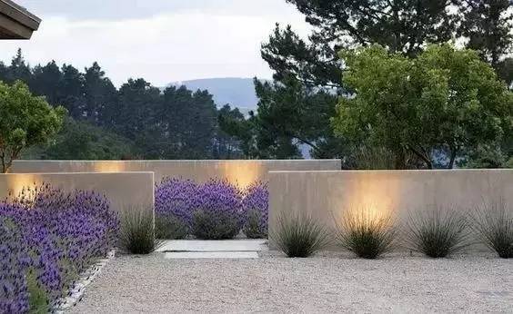 水泥墻樸素寂靜的美，庭院設(shè)計(jì)