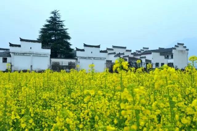 中國建筑六大派之一，皖派建筑