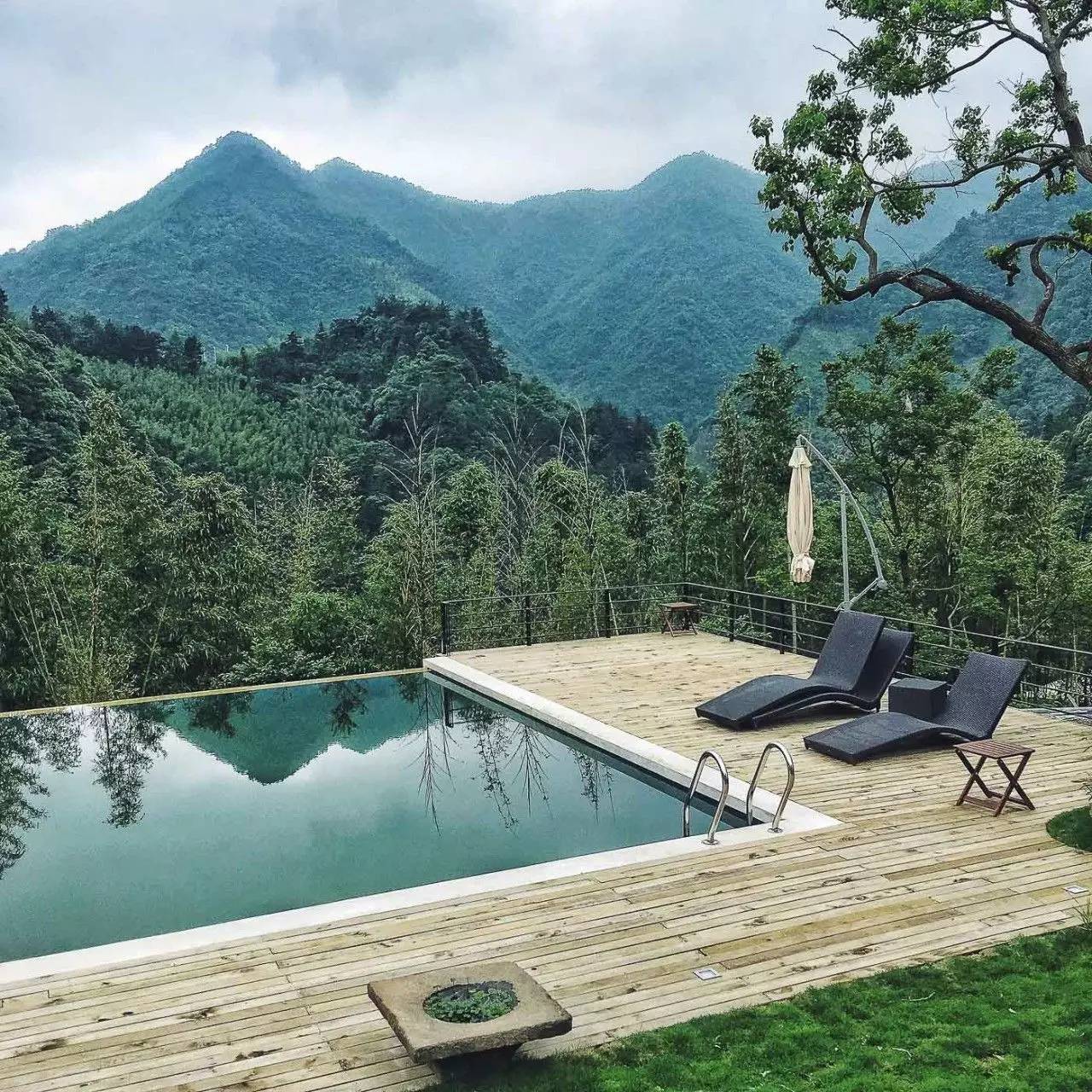 一山九舍 ， 游弋翠竹山林之中