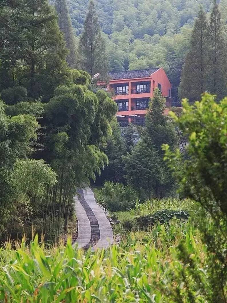 尚坡民宿，坐擁絕佳山景的無敵泳池