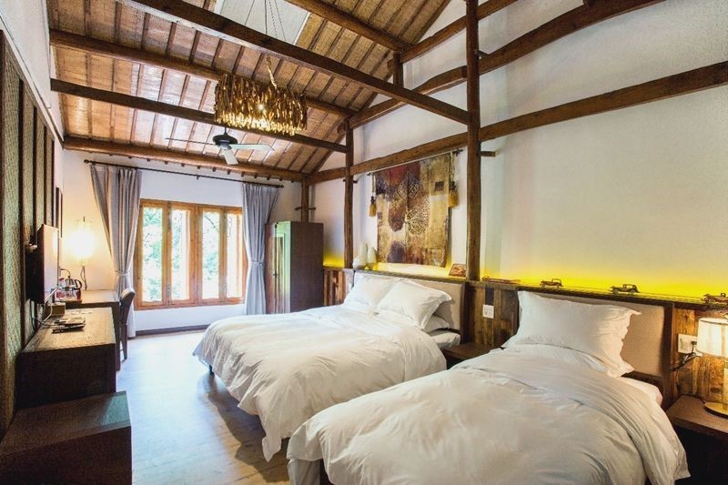 安吉老樹林，600米海拔上的火山泉水池