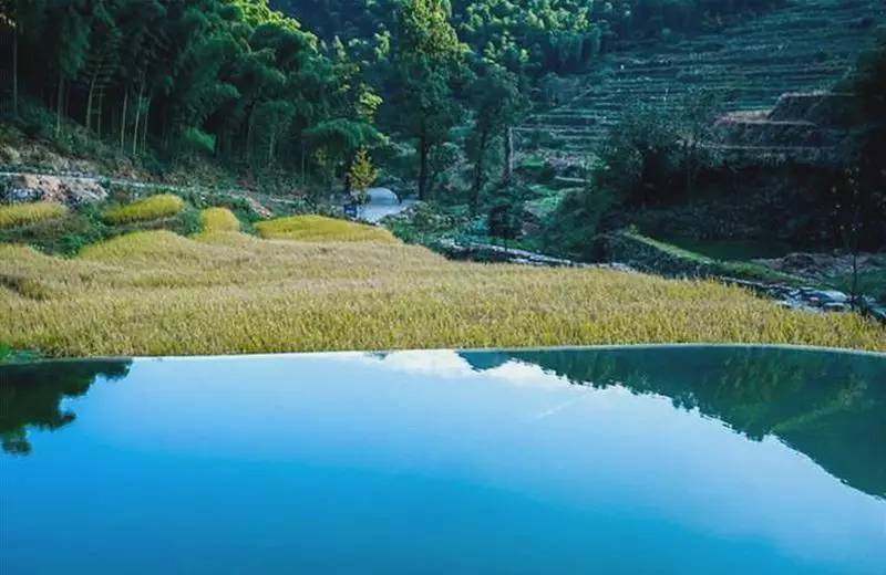 秘境民宿，倒影空寂山谷的一輪明鏡