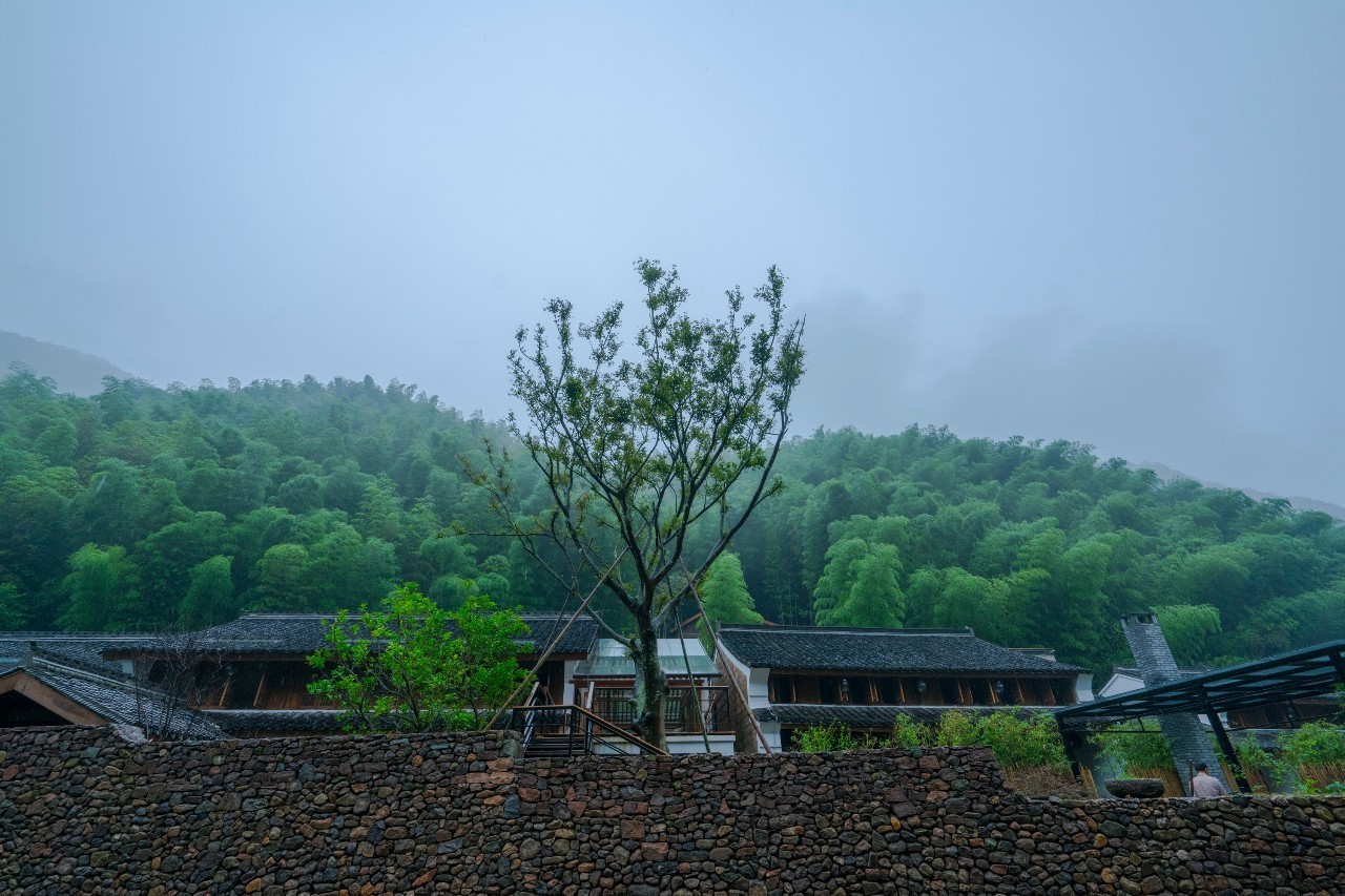 龍觀禪那，靈魂安放之處的民宿