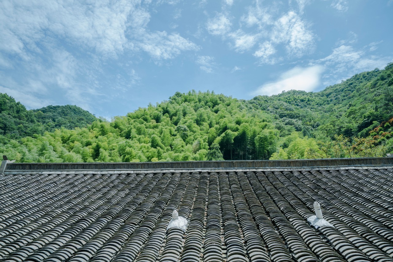 龍觀禪那，靈魂安放之處的民宿