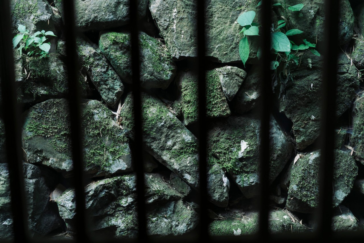 龍觀禪那，靈魂安放之處的民宿