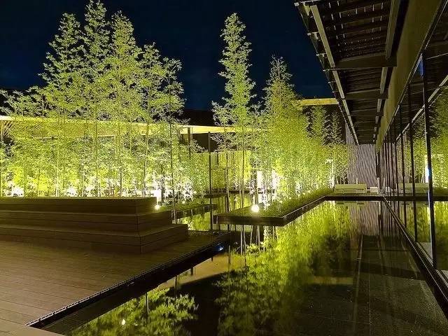 庭院設(shè)計，竹子在庭院中造景的運用