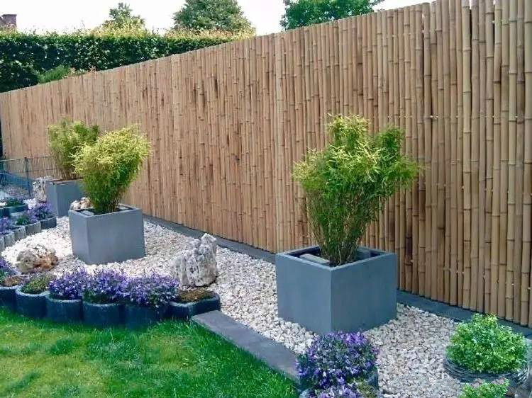 庭院設(shè)計(jì)，竹子在庭院中造景的運(yùn)用