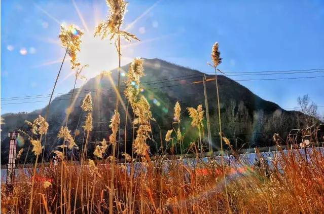 大舍為鄰，北京懷柔民宿設(shè)計