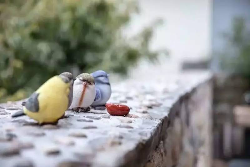 大舍為鄰，北京懷柔民宿設(shè)計(jì)