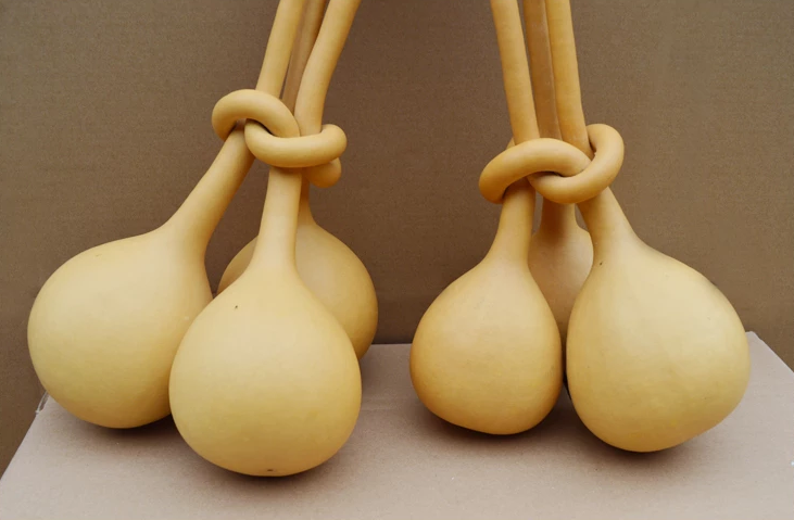 驚呆了，造型獨(dú)特的葫蘆工藝品