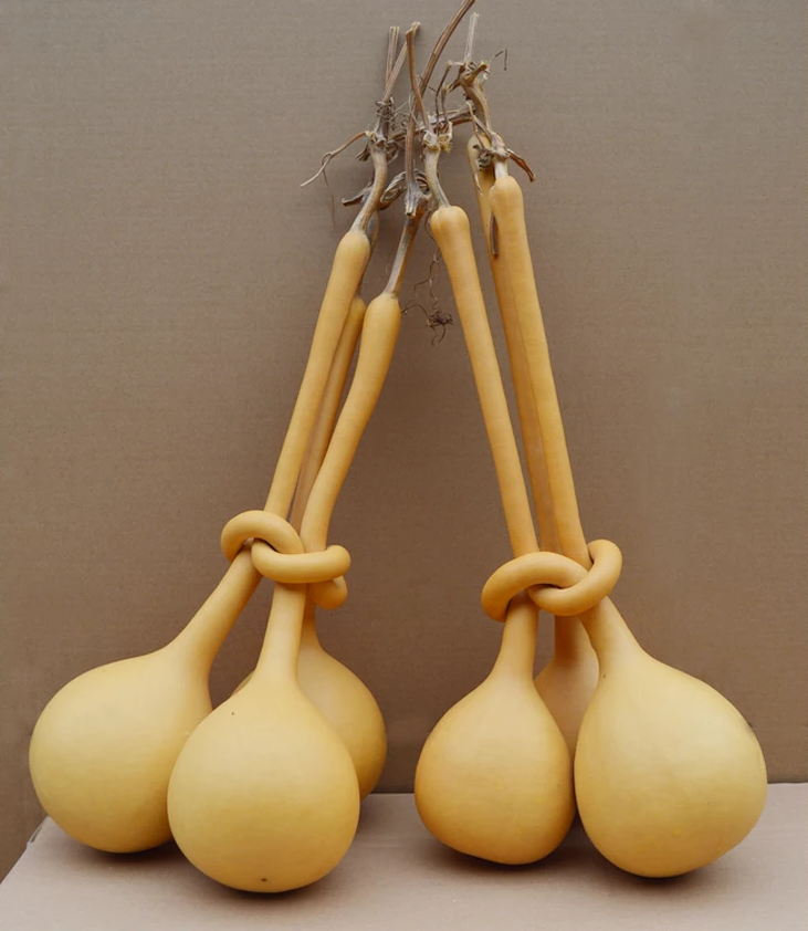 驚呆了，造型獨(dú)特的葫蘆工藝品